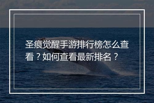 圣痕觉醒手游排行榜怎么查看?如何查看最新排名?