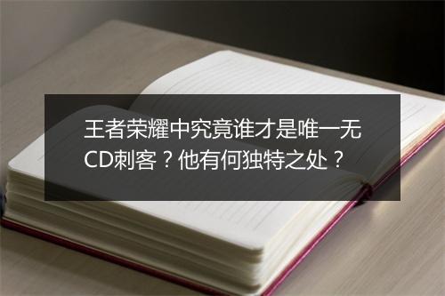 王者荣耀中究竟谁才是唯一无CD刺客?他有何独特之处?