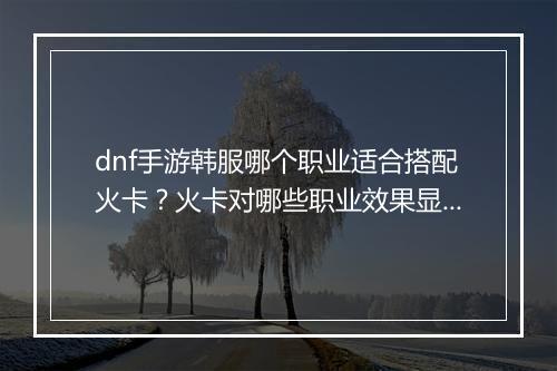 dnf手游韩服哪个职业适合搭配火卡?火卡对哪些职业效果显著?