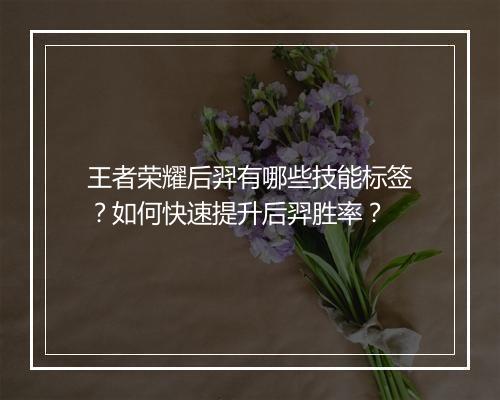 王者荣耀后羿有哪些技能标签？如何快速提升后羿胜率？