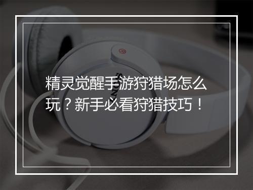 精灵觉醒手游狩猎场怎么玩？新手必看狩猎技巧！
