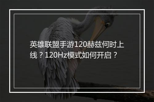 英雄联盟手游120赫兹何时上线?120Hz模式如何开启?