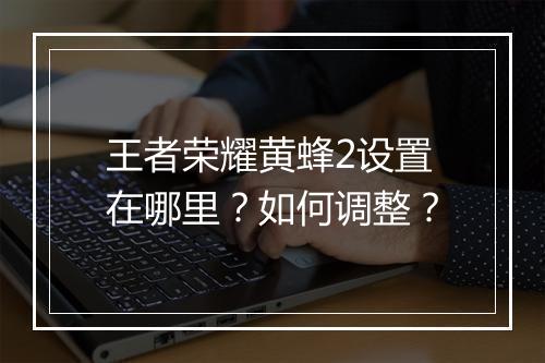 王者荣耀黄蜂2设置在哪里?如何调整?
