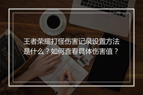 王者荣耀打怪伤害记录设置方法是什么?如何查看具体伤害值?