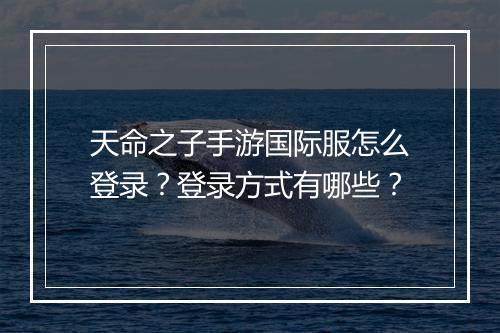 天命之子手游国际服怎么登录？登录方式有哪些？