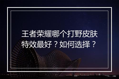 王者荣耀哪个打野皮肤特效最好？如何选择？