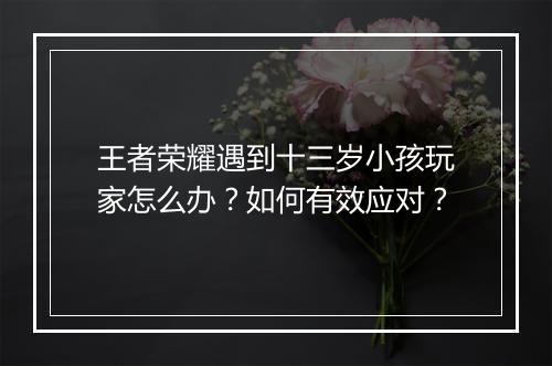 王者荣耀遇到十三岁小孩玩家怎么办?如何有效应对?