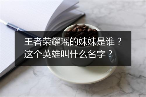 王者荣耀瑶的妹妹是谁?这个英雄叫什么名字?