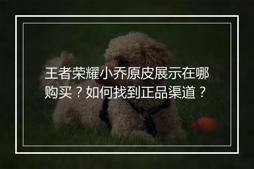 王者荣耀小乔原皮展示在哪购买?如何找到正品渠道?