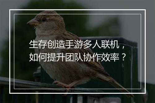 生存创造手游多人联机,如何提升团队协作效率?