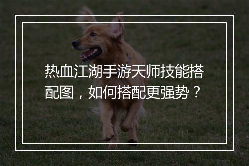 热血江湖手游天师技能搭配图，如何搭配更强势？