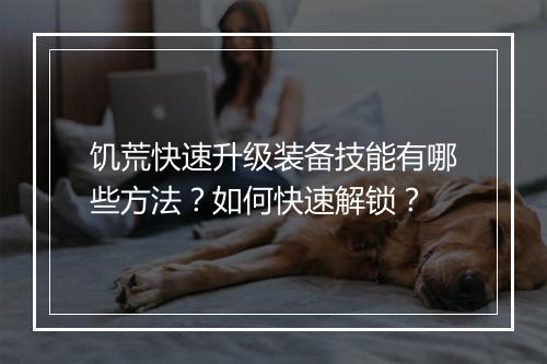 饥荒快速升级装备技能有哪些方法？如何快速解锁？