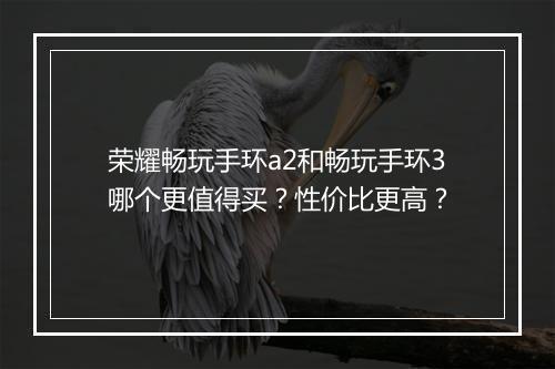 荣耀畅玩手环a2和畅玩手环3哪个更值得买?性价比更高?