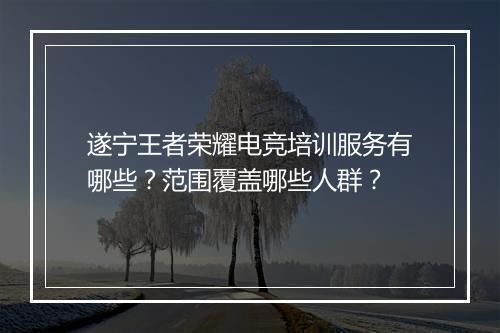 遂宁王者荣耀电竞培训服务有哪些?范围覆盖哪些人群?