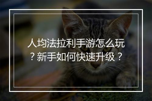 人均法拉利手游怎么玩?新手如何快速升级?