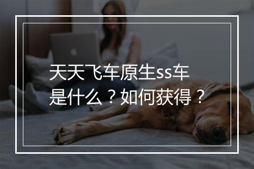 天天飞车原生ss车是什么?如何获得?