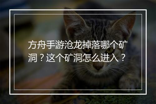 方舟手游沧龙掉落哪个矿洞?这个矿洞怎么进入?