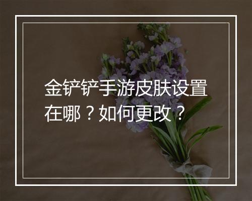 金铲铲手游皮肤设置在哪?如何更改?