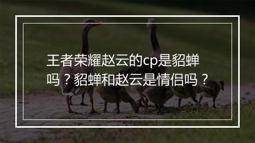 王者荣耀赵云的cp是貂蝉吗?貂蝉和赵云是情侣吗?