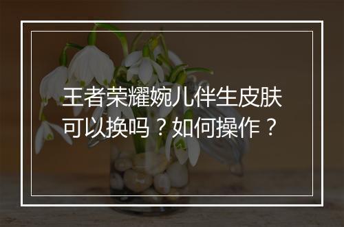 王者荣耀婉儿伴生皮肤可以换吗?如何操作?