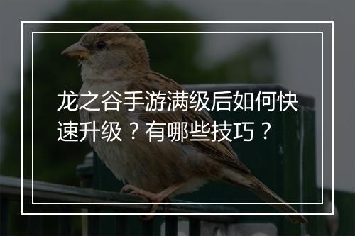 龙之谷手游满级后如何快速升级?有哪些技巧?