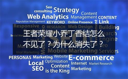 王者荣耀小乔丁香结怎么不见了?为什么消失了?