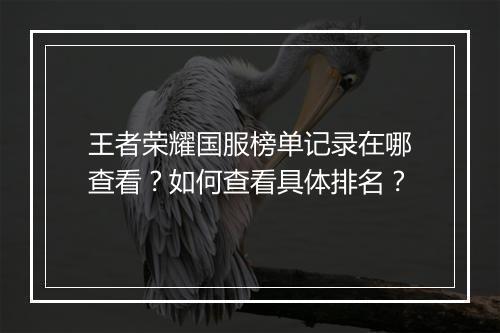 王者荣耀国服榜单记录在哪查看?如何查看具体排名?