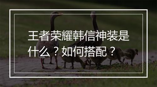 王者荣耀韩信神装是什么？如何搭配？