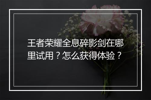 王者荣耀全息碎影剑在哪里试用?怎么获得体验?