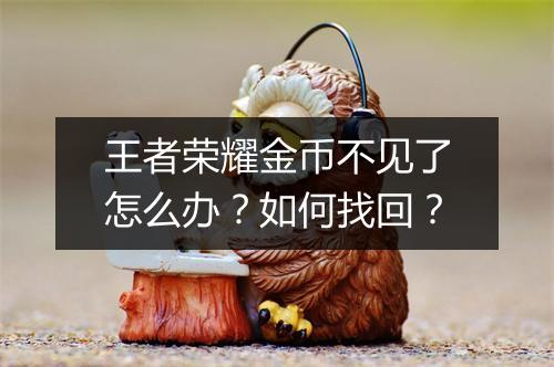 王者荣耀金币不见了怎么办?如何找回?
