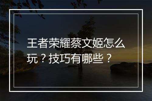 王者荣耀蔡文姬怎么玩?技巧有哪些?