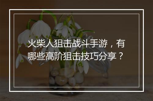 火柴人狙击战斗手游,有哪些高阶狙击技巧分享?