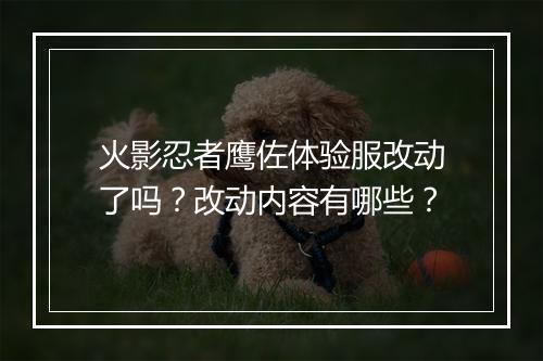 火影忍者鹰佐体验服改动了吗？改动内容有哪些？