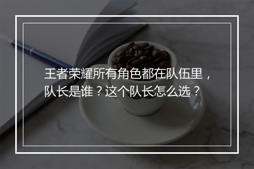 王者荣耀所有角色都在队伍里，队长是谁？这个队长怎么选？