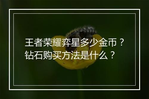 王者荣耀弈星多少金币?钻石购买方法是什么?