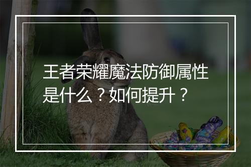 王者荣耀魔法防御属性是什么？如何提升？