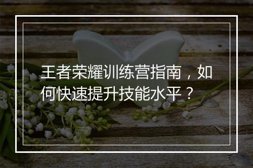 王者荣耀训练营指南，如何快速提升技能水平？