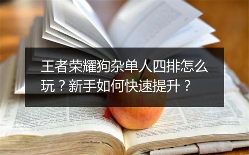 王者荣耀狗杂单人四排怎么玩?新手如何快速提升?