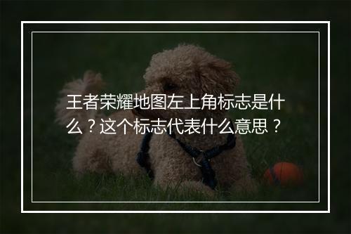 王者荣耀地图左上角标志是什么?这个标志代表什么意思?