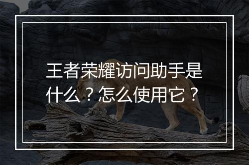 王者荣耀访问助手是什么?怎么使用它?