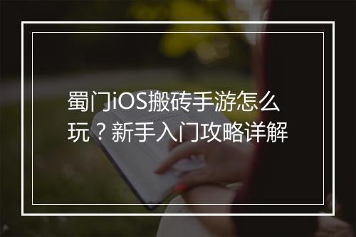 蜀门iOS搬砖手游怎么玩？新手入门攻略详解