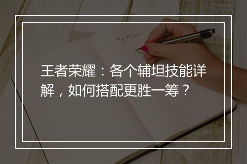 王者荣耀：各个辅坦技能详解，如何搭配更胜一筹？