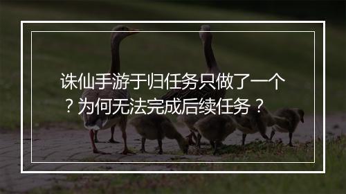 诛仙手游于归任务只做了一个?为何无法完成后续任务?