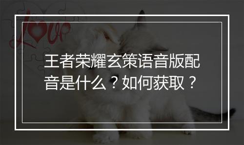 王者荣耀玄策语音版配音是什么?如何获取?