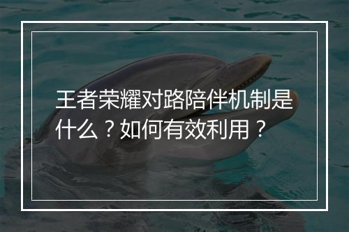 王者荣耀对路陪伴机制是什么?如何有效利用?