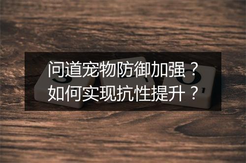 问道宠物防御加强？如何实现抗性提升？