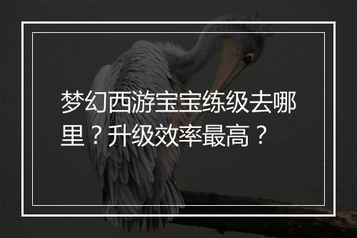 梦幻西游宝宝练级去哪里?升级效率最高?