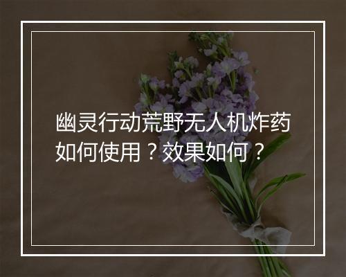幽灵行动荒野无人机炸药如何使用？效果如何？