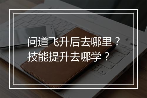 问道飞升后去哪里？技能提升去哪学？
