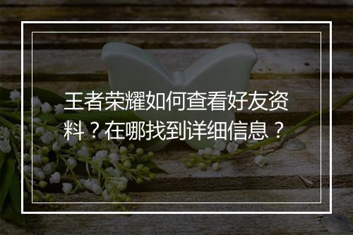 王者荣耀如何查看好友资料？在哪找到详细信息？